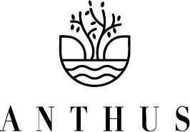 Anthus