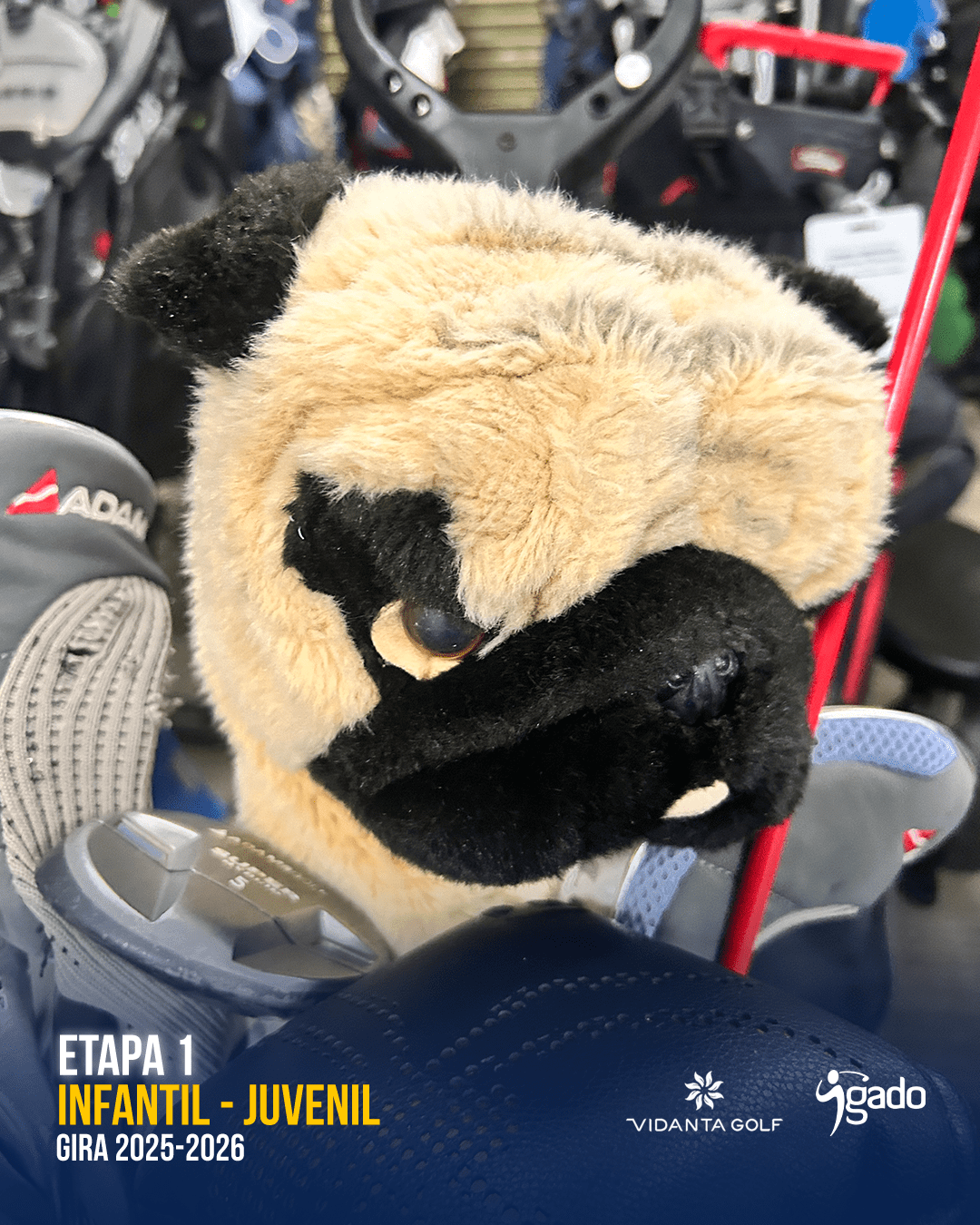 Infantil-Juvenil 2025-2026: Etapa 1