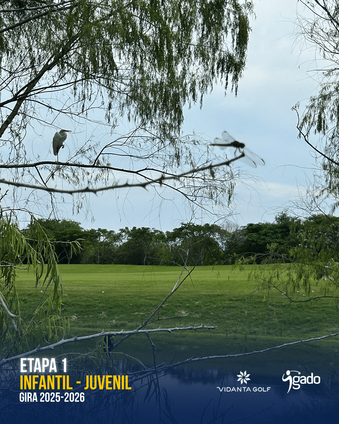 Infantil-Juvenil 2025-2026: Etapa 1